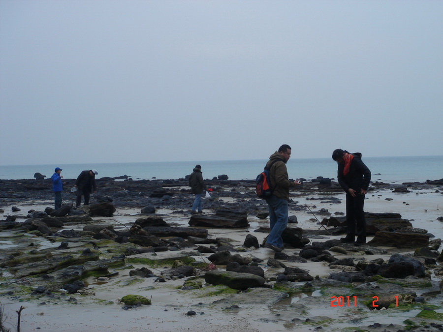 dsc04091.jpg