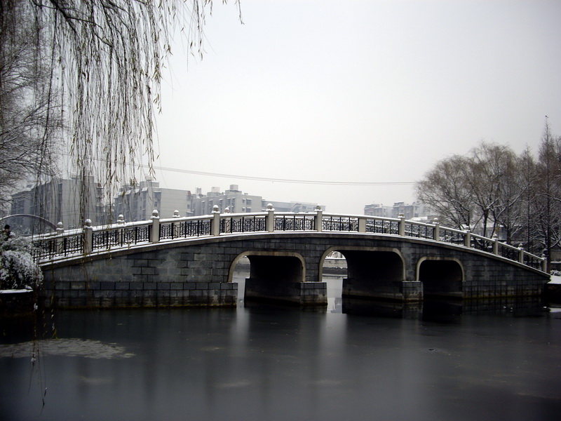 imgp2945.jpg