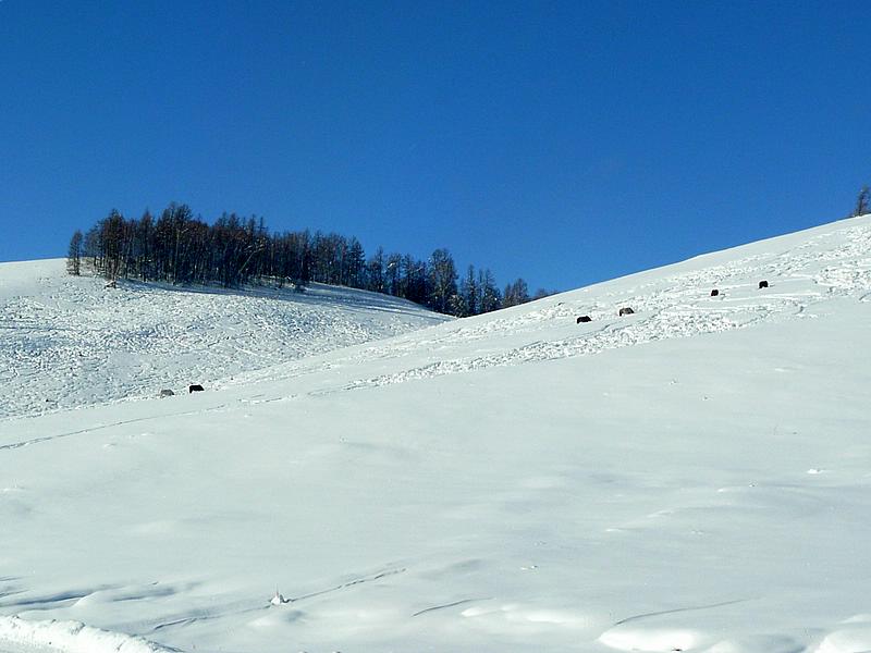 p1210121.jpg