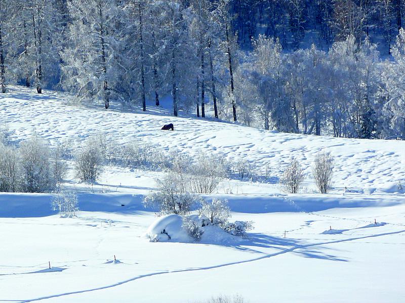 p1210146.jpg