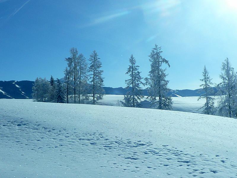 p1210091.jpg