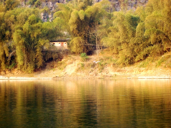 dsc08534.jpg