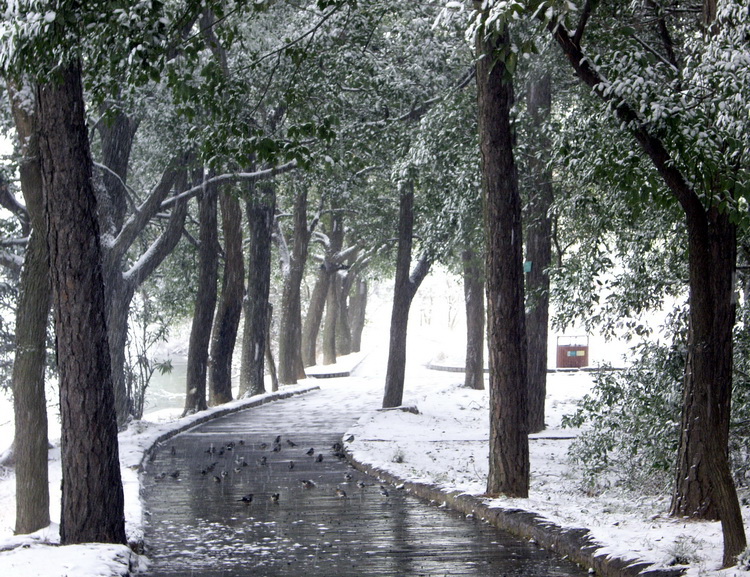 imgp2591.jpg