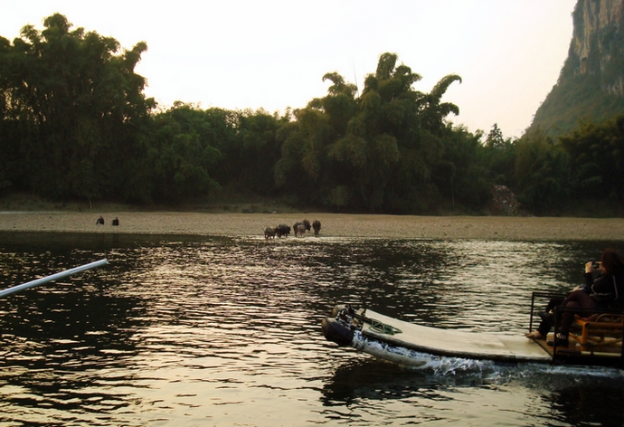 dsc08675.jpg