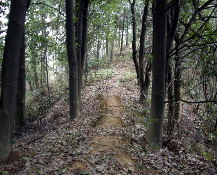 imgp3347.jpg