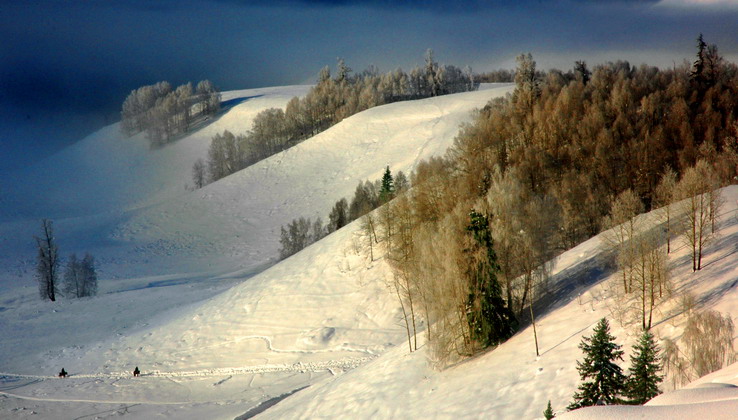 dsc_1773.1_СС.jpg