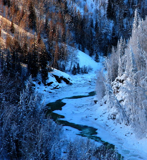 dsc_1641.2_СС.jpg