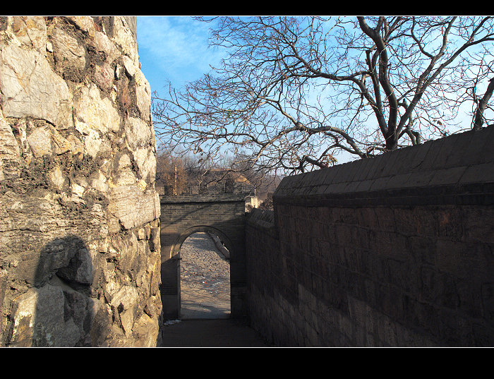 dsc_0989.jpg