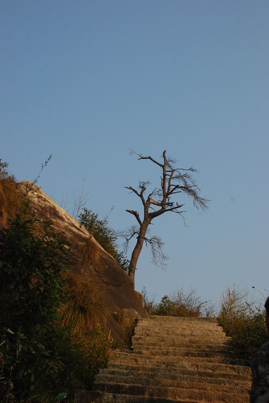 dsc_0555.jpg