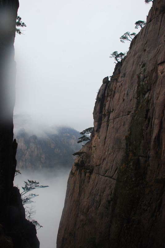 dsc_1109.jpg