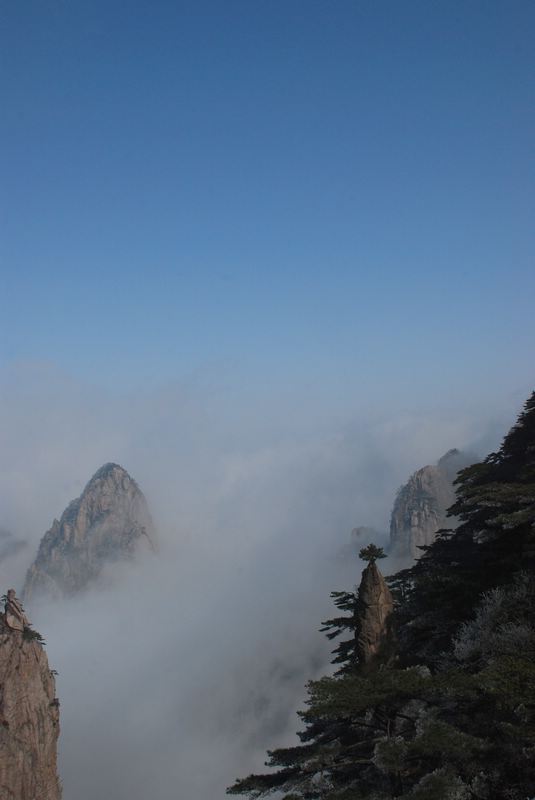 dsc_1565.jpg