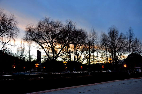 dsc_0850ҹ.jpg