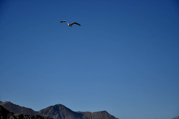 dsc_0581.jpg