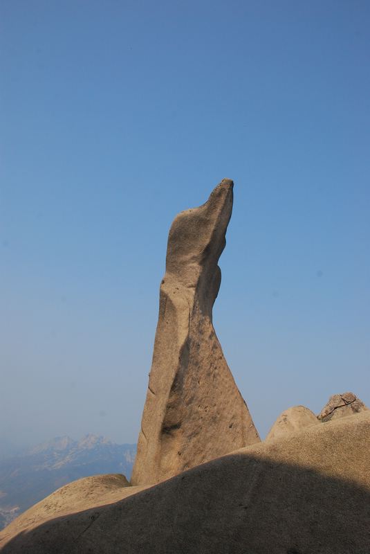 dsc_0800.jpg