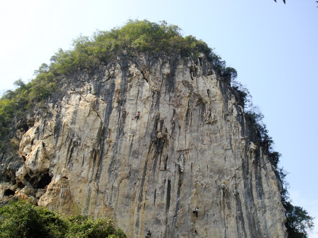 dsc08818.jpg