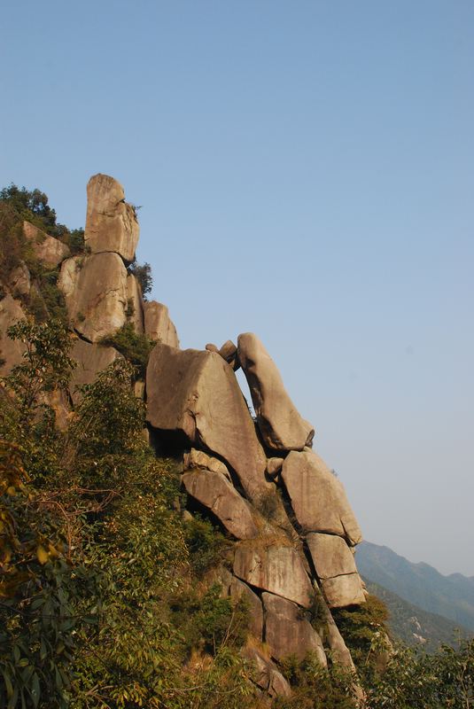 dsc_0805.jpg
