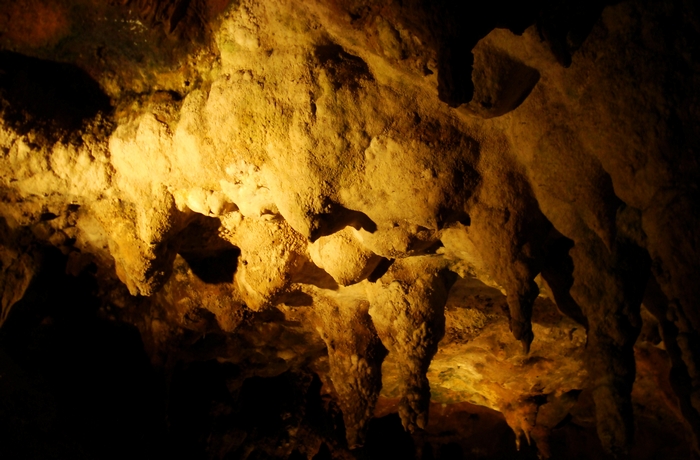 dsc08864.jpg