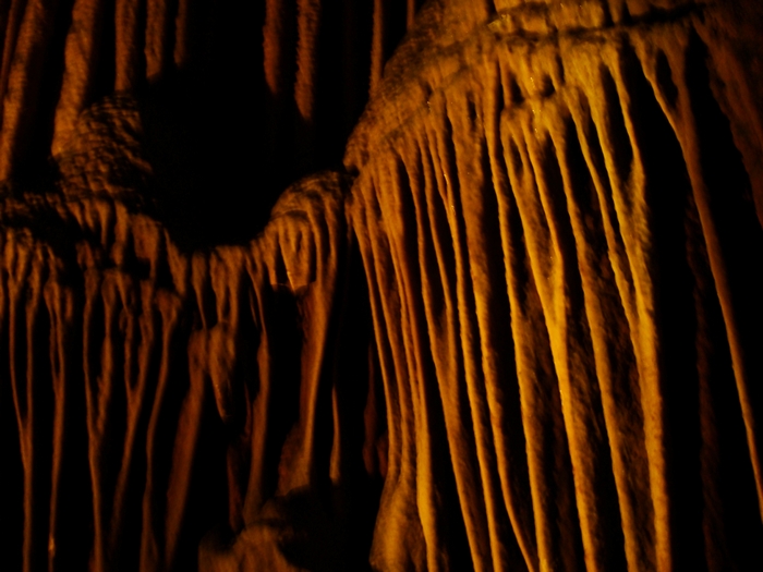 dsc08867.jpg