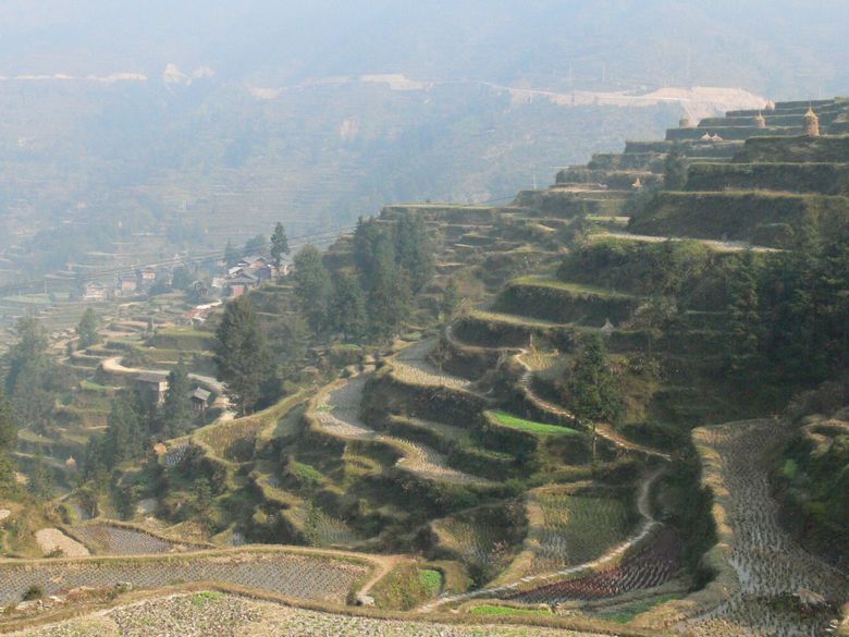 p1120334.jpg