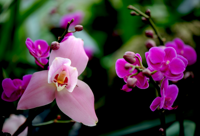 dsc_5122a.jpg