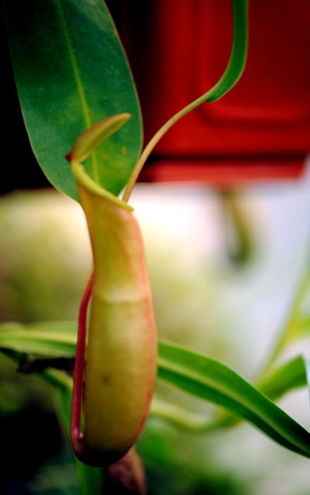 dsc_5124a.jpg