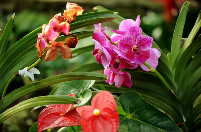 dsc_5126a.jpg