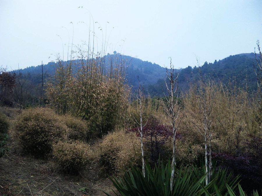 neo_img_dsc01942.jpg