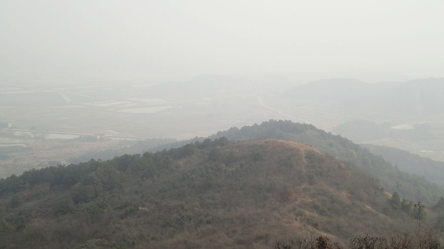 neo_img_dsc01949.jpg
