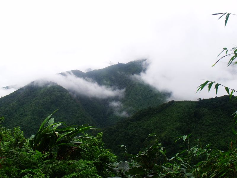 dscf9200.jpg