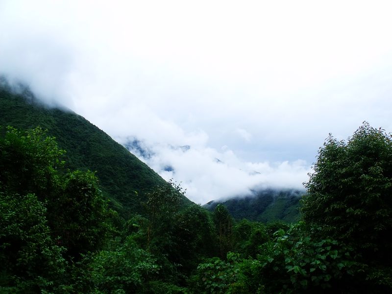 dscf9207.jpg