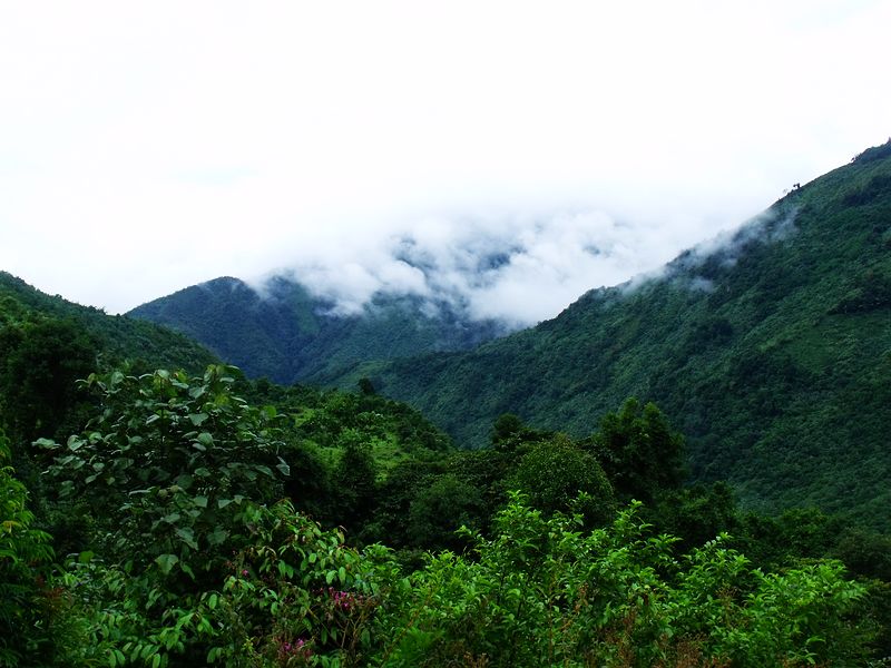 dscf9215.jpg