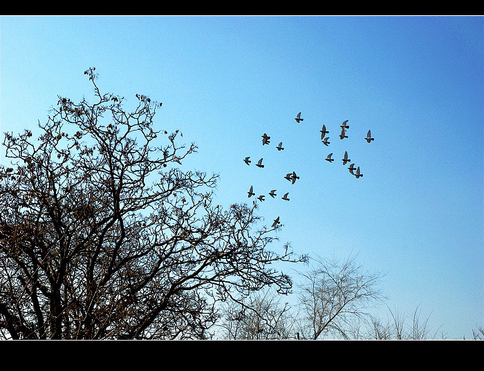 dsc_0105a.jpg