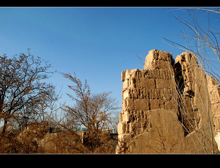 dsc_0106.jpg