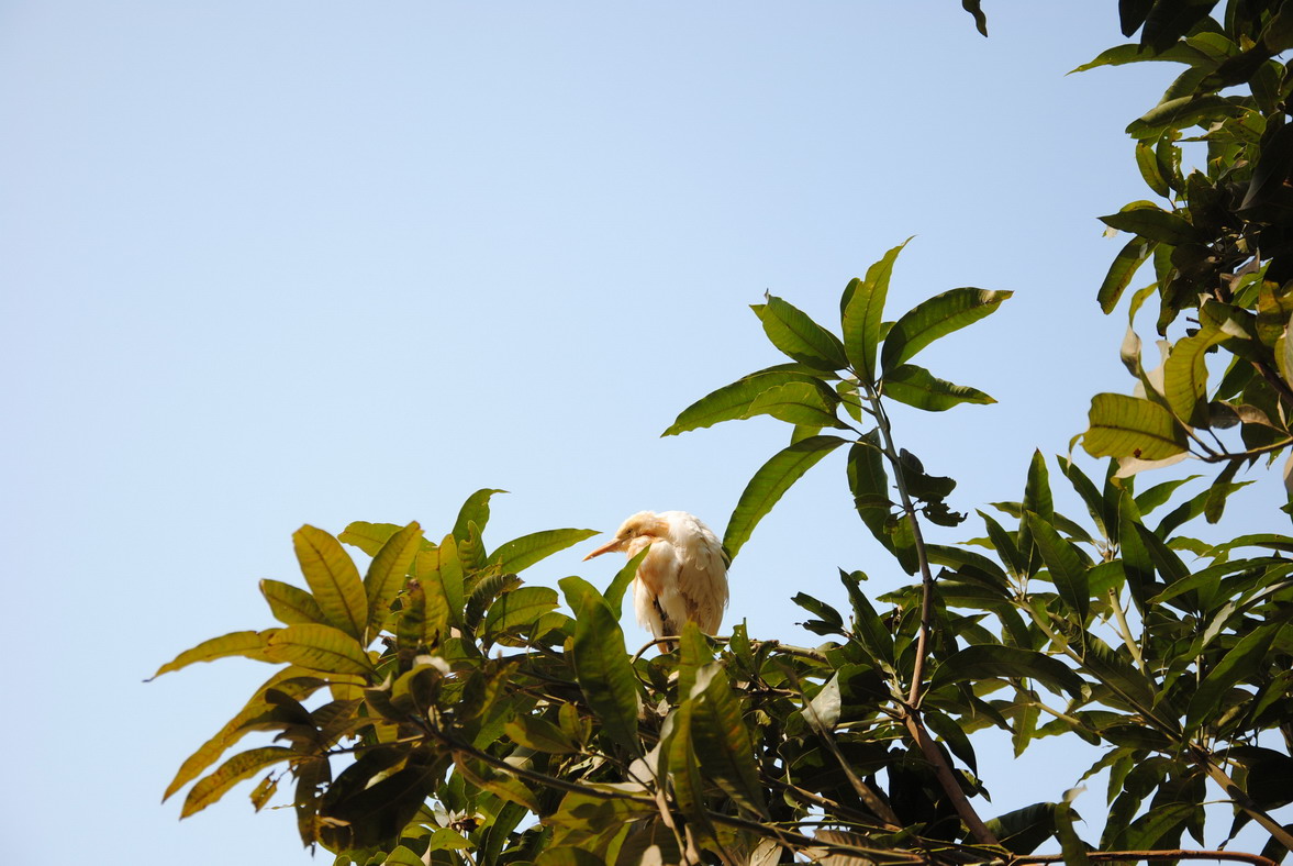 dsc_0019.jpg