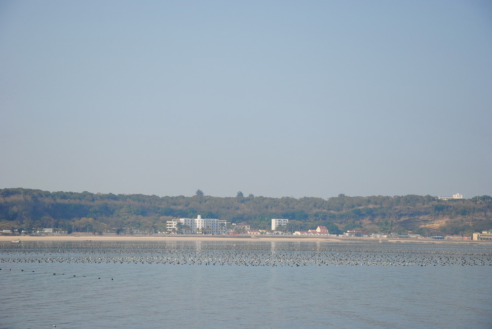 dsc_0036.jpg