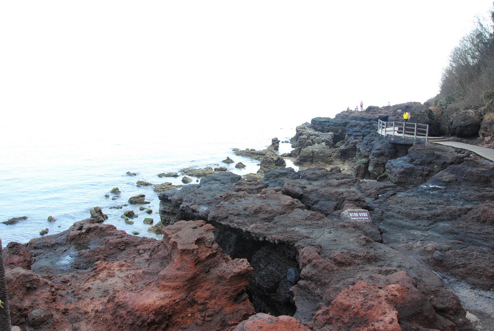 dsc_0044.jpg