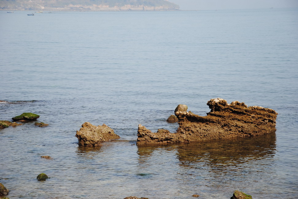 dsc_0067.jpg