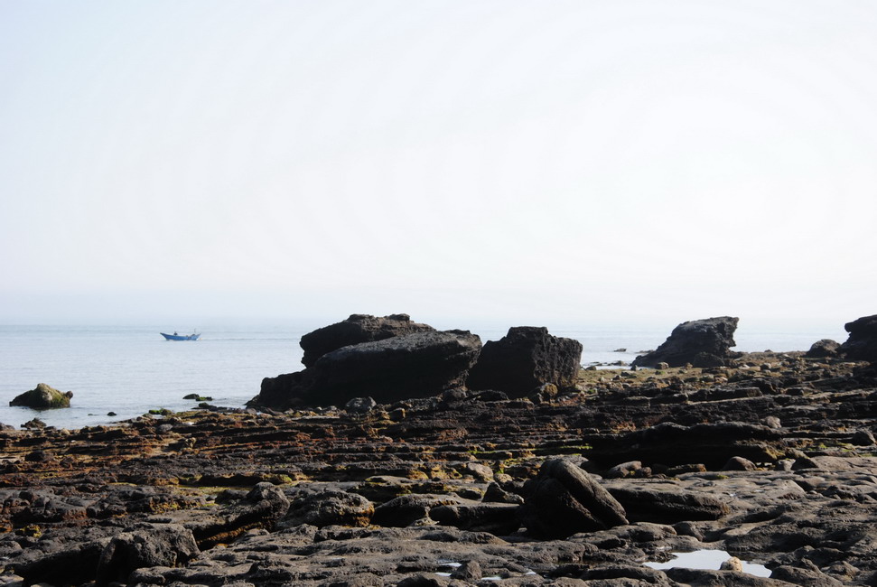 dsc_0071.jpg