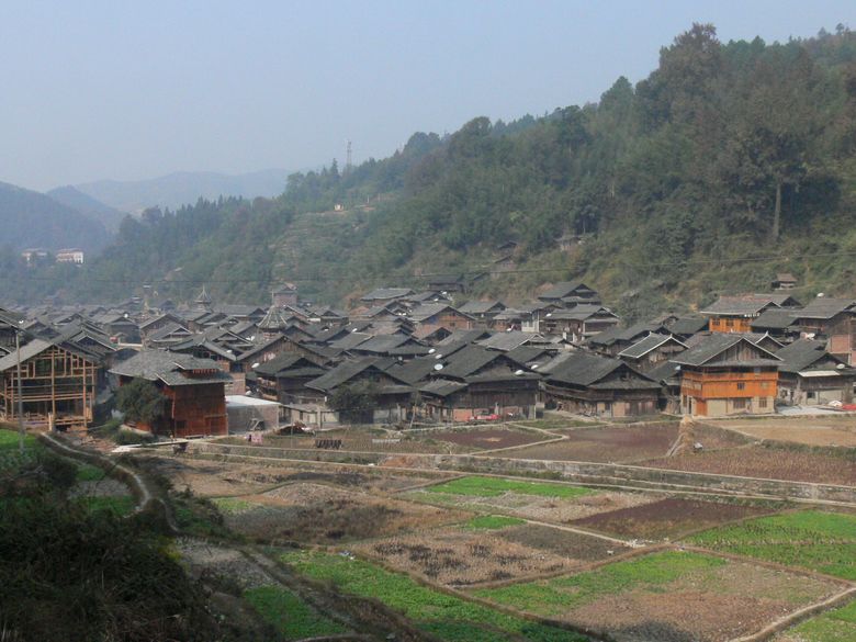 p1120375.jpg