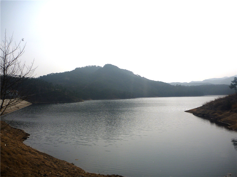 p1040764_.jpg