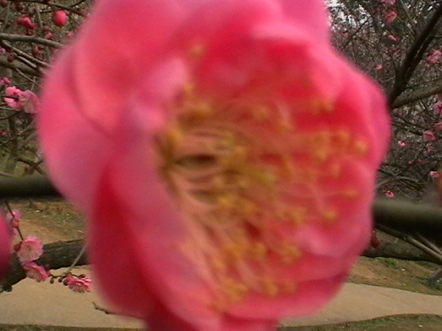 imga0253.jpg