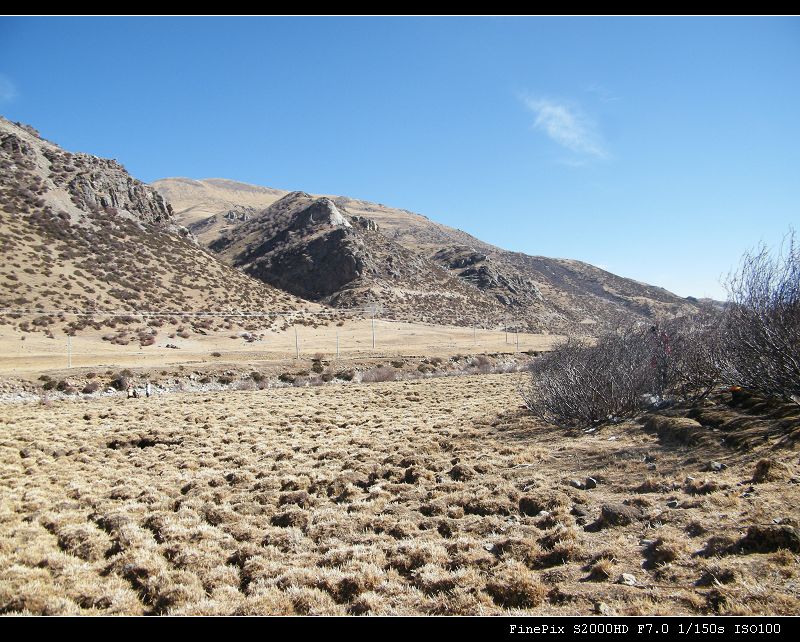 dscf2459.jpg