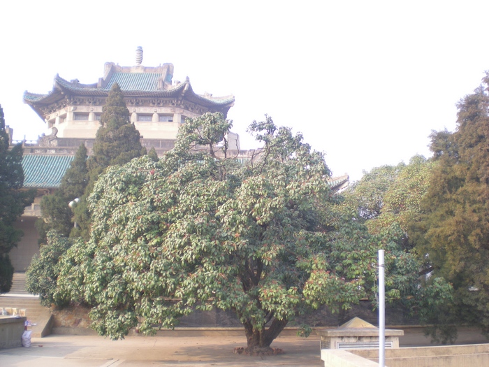 dscn8267.jpg