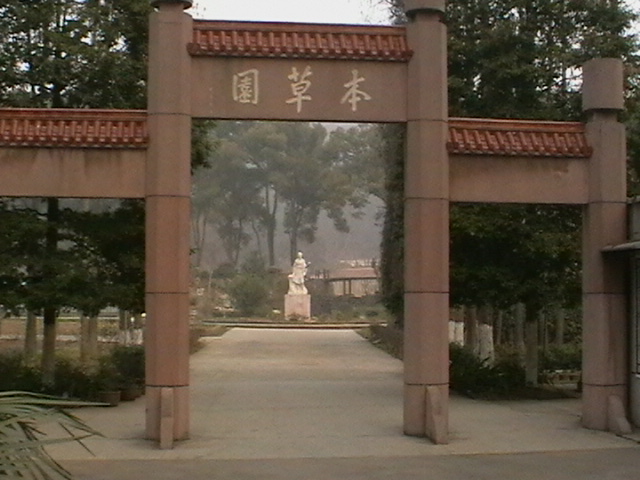 imga0235.jpg