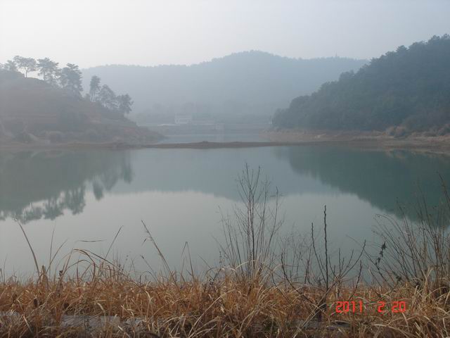 dsc02432.jpg
