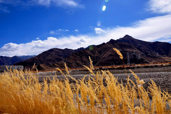 dsc_0725.jpg
