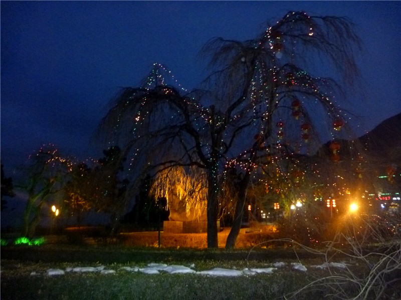 p1040289_.jpg
