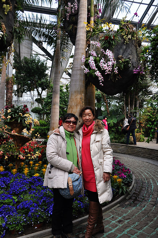 dsc_0783.jpg