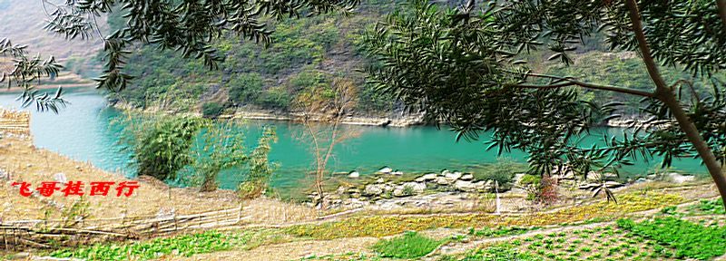 p1010419.jpg