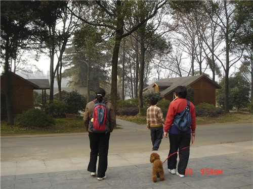 dsc00127_.jpg